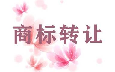上海商标与版权代理全攻略 保护创意从注册开始